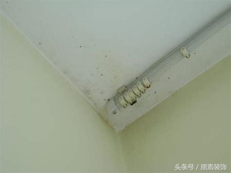 香港東北位 廁所天花板發霉